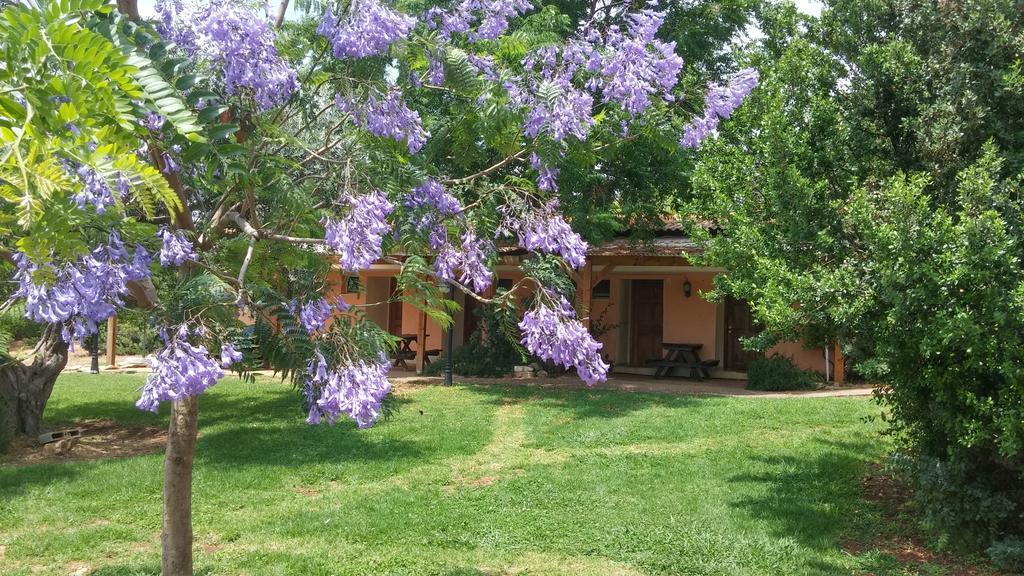 Kibbutz Moran Digital Nomads Village-Adults Only Esterno foto