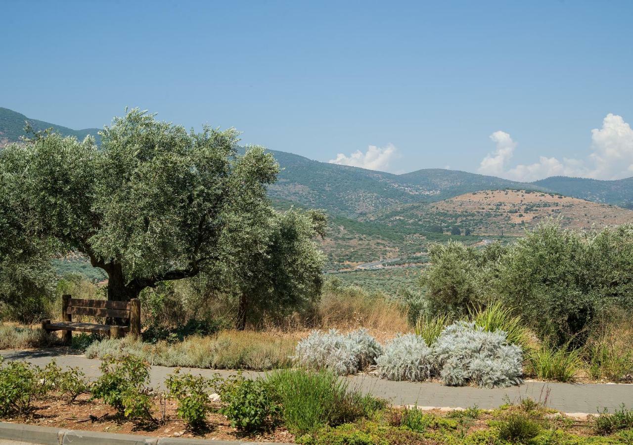 Kibbutz Moran Digital Nomads Village-Adults Only Esterno foto